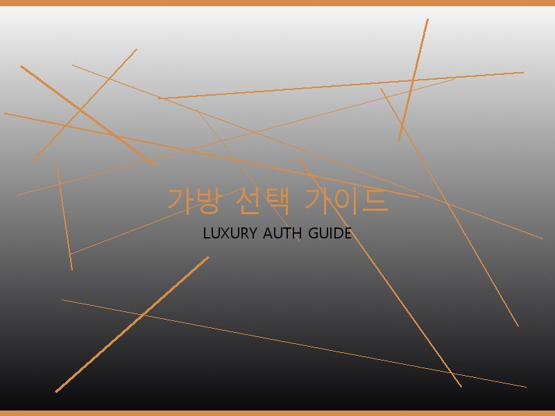 구찌 레이디백 S급 사이트 가방 선택 가이드