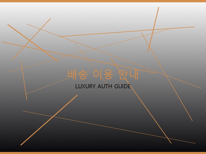 구찌 레이디백 S급 사이트 배송 이용 안내