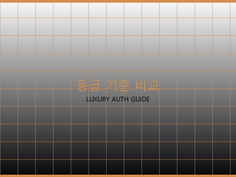 구찌 레이디백 S급 사이트 등급 기준 비교